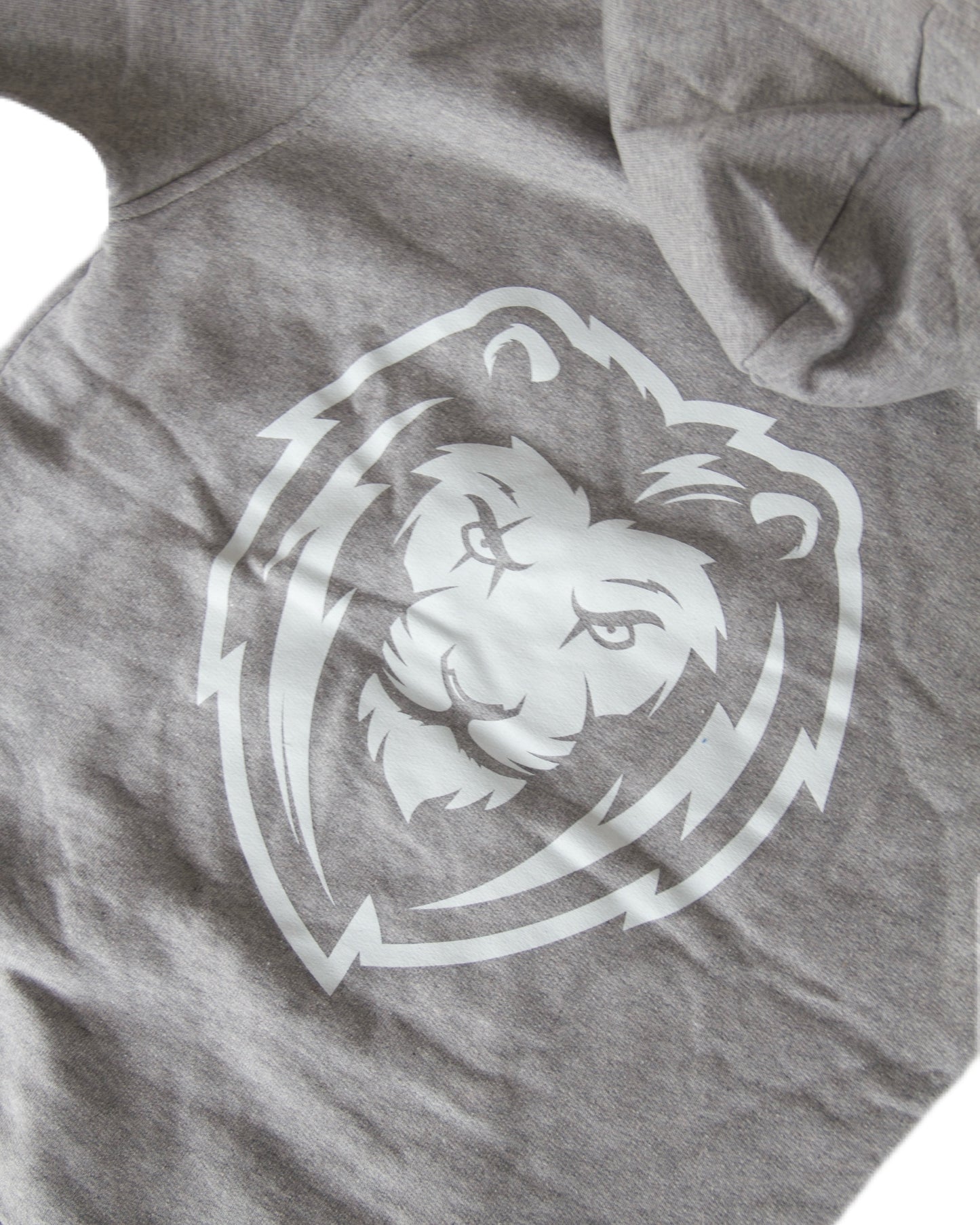 LIONS Hoodie Grau